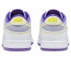 Nike Dunk Low Union Passport Pack Court Purple