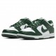 Nike Dunk Low Michigan State